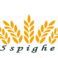 Appartamento Casale (1)