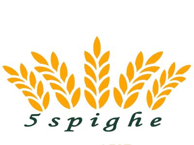 Appartamento Casale