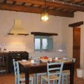La Cicala e la Formica (2)