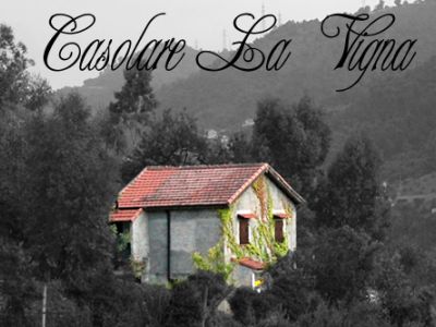 Casolare La Vigna