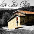 Casolare Le Olive (1)