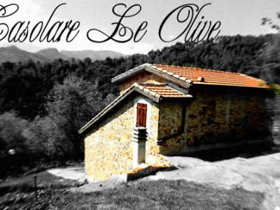 Casolare Le Olive
