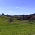 SUITE (2)