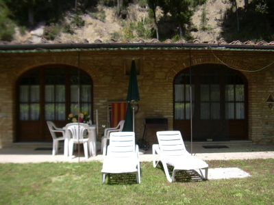 TULIPANO