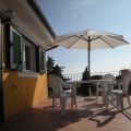 Carrubo (1)