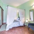 Verde (1)