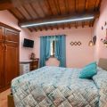 Camera Tulipano (2)