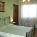 L\'olivo (1)
