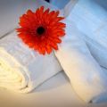 Appartamento su due piani (2)