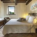 Angelica (4)