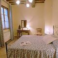 IL TULIPANO (1)