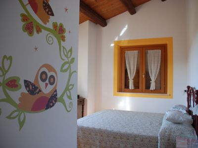 camera del gufo anacleto