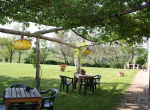 Description des chambres 1