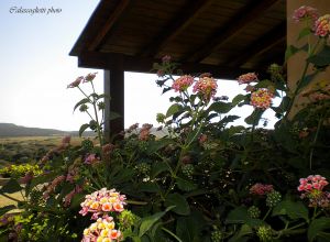 Описание комнат  2