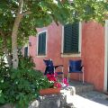 GIRASOLE (3)