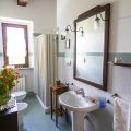 Nespolo (5)