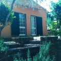 GELSOMINO (1)