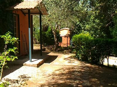 CICLAMINO 
