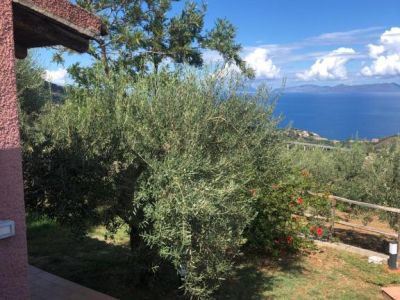 APPARTAMENTO 11