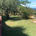 Appartamento 10 (1)