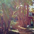 appartamento 5-6 (1)
