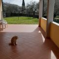 APPARTAMENTO VIGNETO (1)