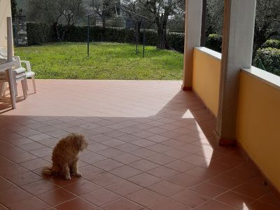 APPARTAMENTO VIGNETO
