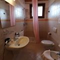 Gelsomino (4)