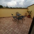 Rosmarino (4)