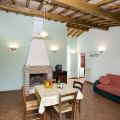 Cardellino (1)