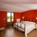 Pettirosso/Ciuffolotto (1)