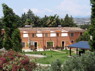 bilo - Viburno