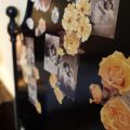 GIRASOLE (6)