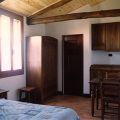 Picchio (1)