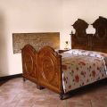 Coccinella (1)