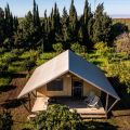 Glamping (1)