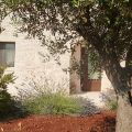 Trullo Margherita (1)