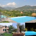 Pigato (1)