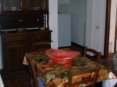 Gelsomino
