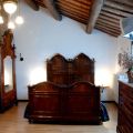 La lepre (1)