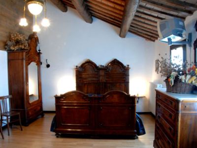 La lepre