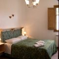 Leccio (1)