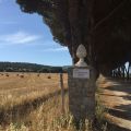 Vittoria (5)