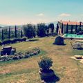 DUE CALZINI (5)