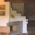 Moraiolo (1)