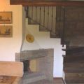 Cipressino (1)