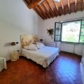 papavero (2)