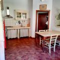 papavero (4)