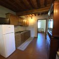 Il Padrone (5)