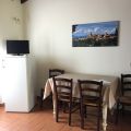 Ex Pacciano (1)